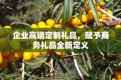 企业高端定制礼品，赋予商务礼品全新定义