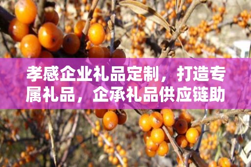 孝感企业礼品定制，打造专属礼品，企承礼品供应链助力商务往来